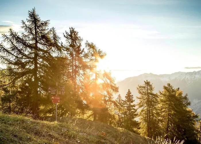 Apartment Au Bon Coeur L Golf L View L By Cosyhome